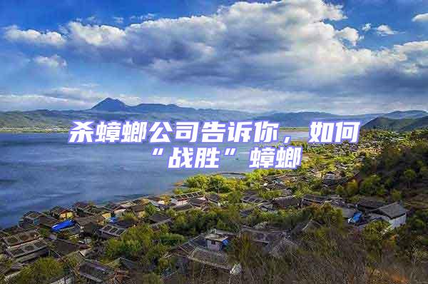 殺蟑螂公司告訴你，如何“戰(zhàn)勝”蟑螂