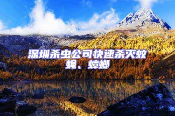 深圳殺蟲公司快速殺滅蚊蠅、蟑螂