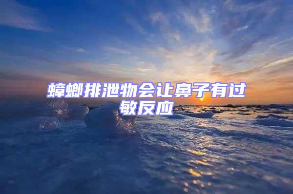 蟑螂排泄物會讓鼻子有過敏反應