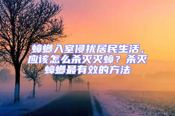 蟑螂入室侵?jǐn)_居民生活，應(yīng)該怎么殺滅滅蟑？殺滅蟑螂最有效的方法