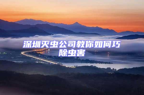 深圳滅蟲公司教你如何巧除蟲害