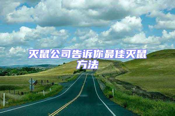 滅鼠公司告訴你最佳滅鼠方法