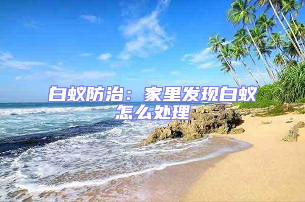 白蟻防治：家里發(fā)現(xiàn)白蟻怎么處理