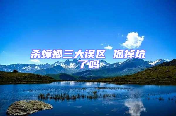殺蟑螂三大誤區 您掉坑了嗎