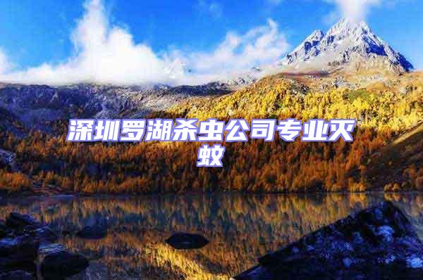 深圳羅湖殺蟲公司專業滅蚊