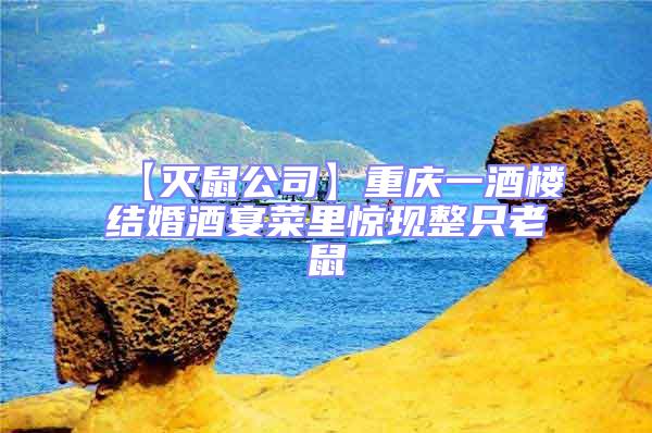 【滅鼠公司】重慶一酒樓結婚酒宴菜里驚現整只老鼠