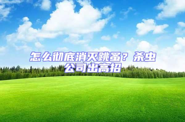 怎么徹底消滅跳蚤？殺蟲公司出高招