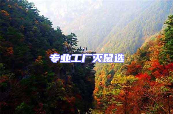 專(zhuān)業(yè)工廠滅鼠選