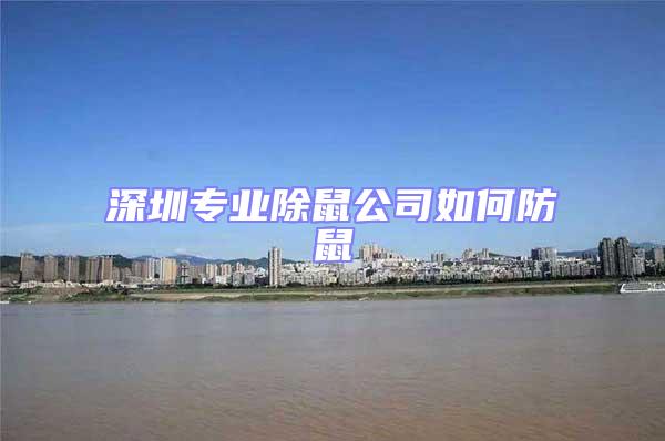 深圳專業除鼠公司如何防鼠