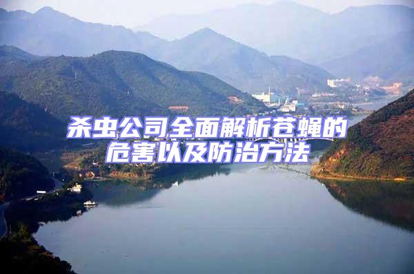殺蟲(chóng)公司全面解析蒼蠅的危害以及防治方法