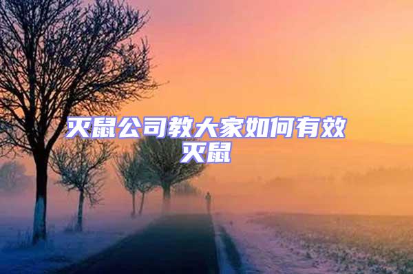 滅鼠公司教大家如何有效滅鼠