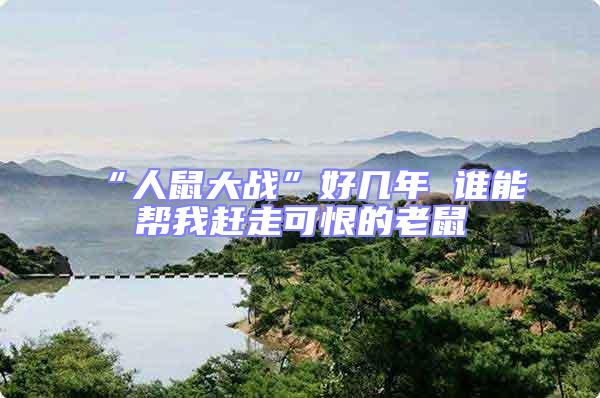 “人鼠大戰”好幾年 誰能幫我趕走可恨的老鼠
