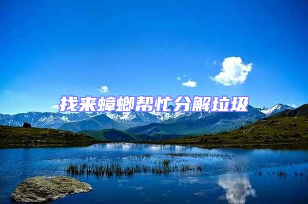 找來蟑螂幫忙分解垃圾