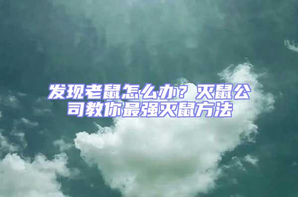 發(fā)現(xiàn)老鼠怎么辦？滅鼠公司教你最強(qiáng)滅鼠方法