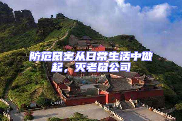 防范鼠害從日常生活中做起，滅老鼠公司