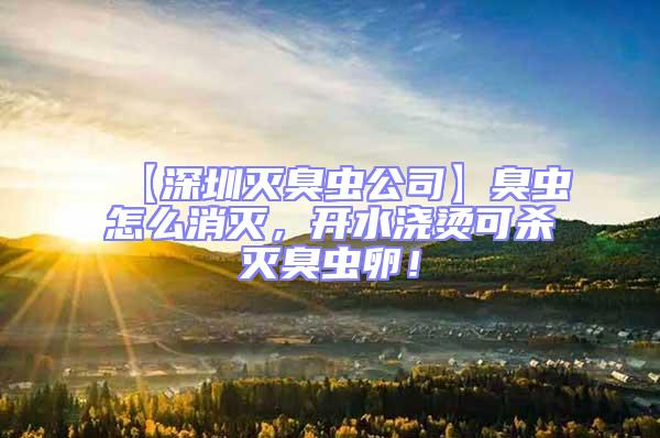 【深圳滅臭蟲公司】臭蟲怎么消滅，開水澆燙可殺滅臭蟲卵！