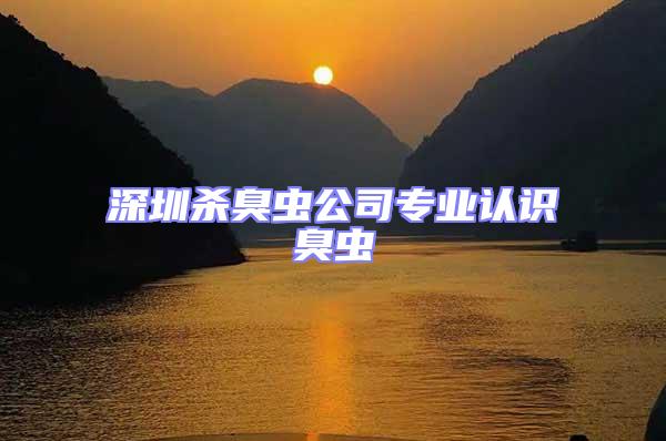 深圳殺臭蟲公司專業認識臭蟲