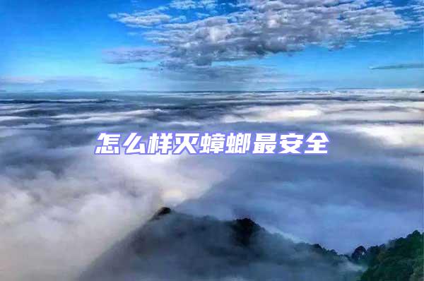 怎么樣滅蟑螂最安全