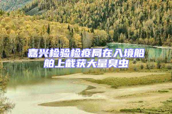 嘉興檢驗檢疫局在入境船舶上截獲大量臭蟲