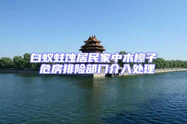 白蟻蛀蝕居民家中木檁子 危房排險(xiǎn)部門(mén)介入處理