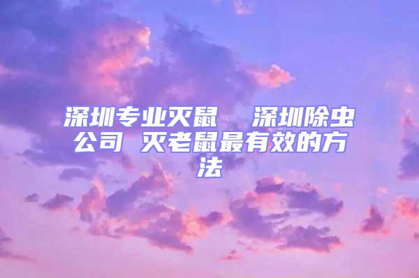 深圳專業滅鼠  深圳除蟲公司 滅老鼠最有效的方法