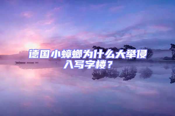 德國(guó)小蟑螂為什么大舉侵入寫(xiě)字樓？