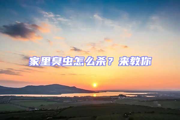 家里臭蟲怎么殺？來教你