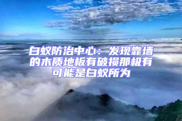 白蟻防治中心：發現靠墻的木質地板有破損那極有可能是白蟻所為