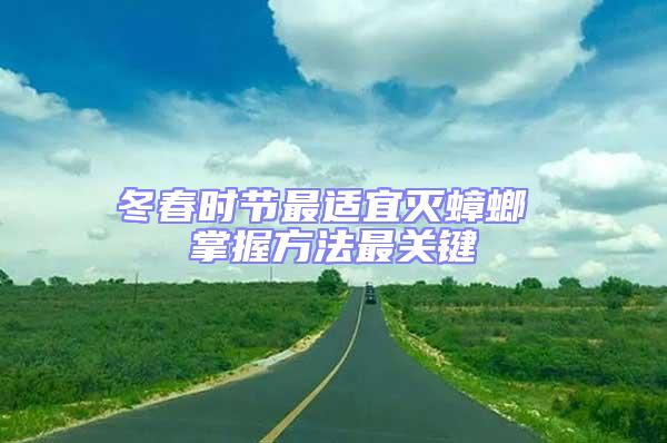 冬春時節最適宜滅蟑螂 掌握方法最關鍵