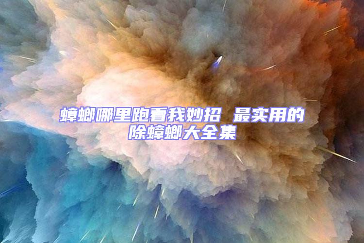 蟑螂哪里跑看我妙招 最實用的除蟑螂大全集