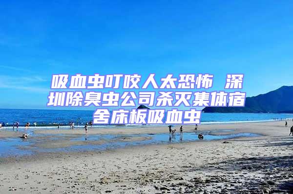 吸血蟲叮咬人太恐怖 深圳除臭蟲公司殺滅集體宿舍床板吸血蟲