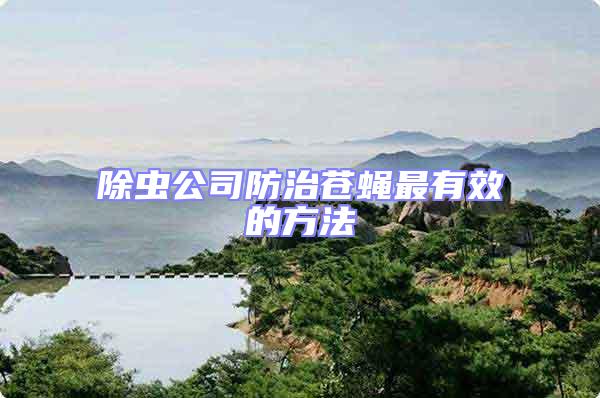 除蟲公司防治蒼蠅最有效的方法