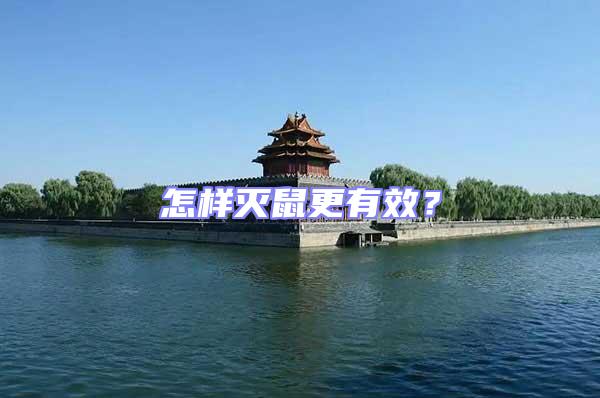 怎樣滅鼠更有效？