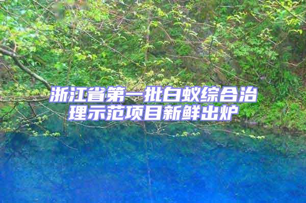 浙江省第一批白蟻綜合治理示范項目新鮮出爐