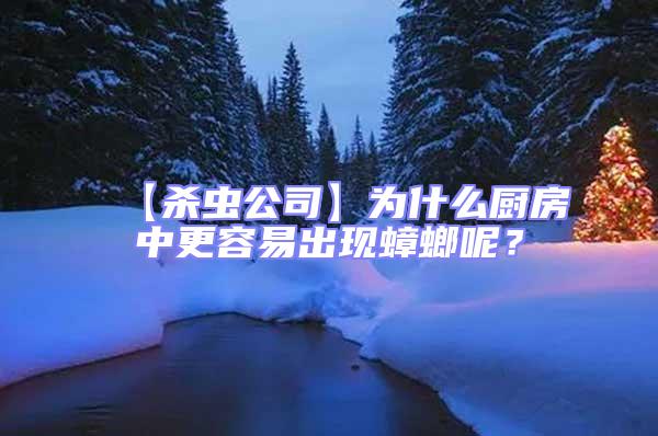 【殺蟲公司】為什么廚房中更容易出現(xiàn)蟑螂呢？