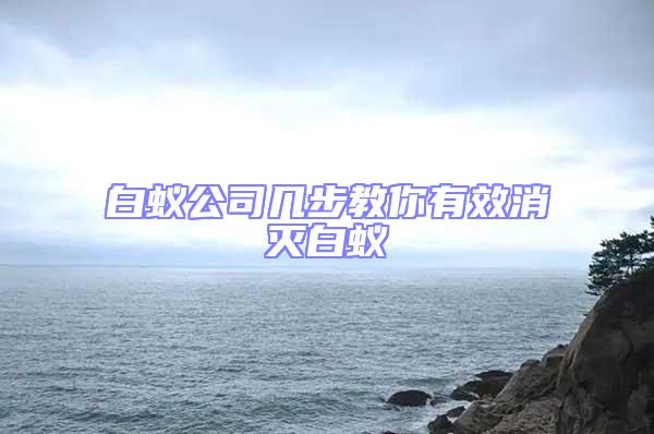 白蟻公司幾步教你有效消滅白蟻