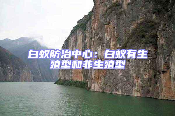 白蟻防治中心：白蟻有生殖型和非生殖型