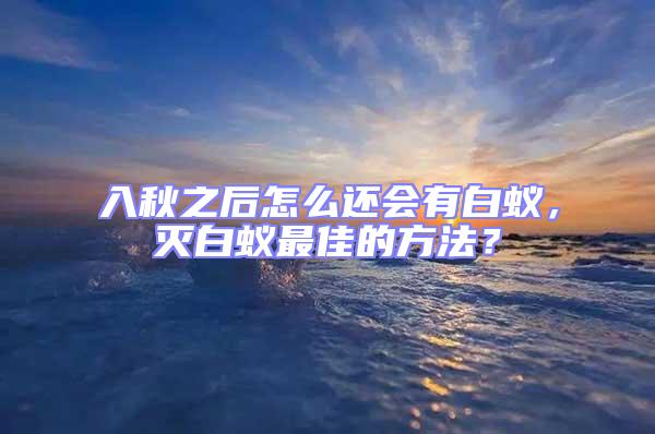 入秋之后怎么還會有白蟻，滅白蟻最佳的方法？