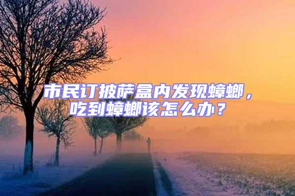 市民訂披薩盒內發(fā)現(xiàn)蟑螂，吃到蟑螂該怎么辦？