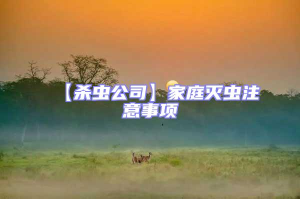 【殺蟲公司】家庭滅蟲注意事項(xiàng)
