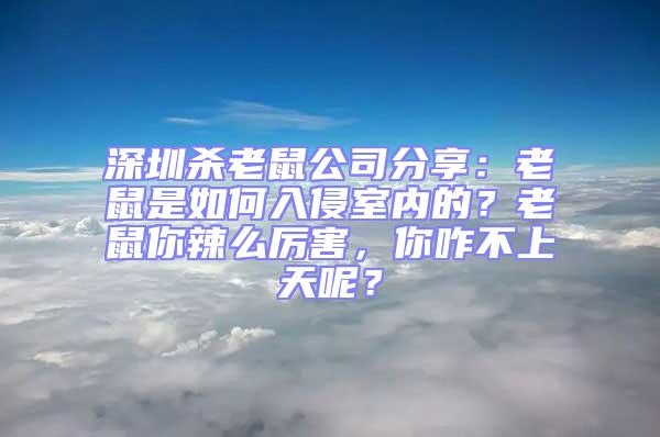 深圳殺老鼠公司分享：老鼠是如何入侵室內(nèi)的？老鼠你辣么厲害，你咋不上天呢？