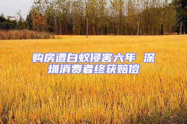 購房遭白蟻侵害六年 深圳消費者終獲賠償