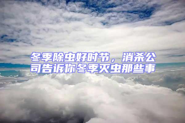 冬季除蟲好時(shí)節(jié)，消殺公司告訴你冬季滅蟲那些事