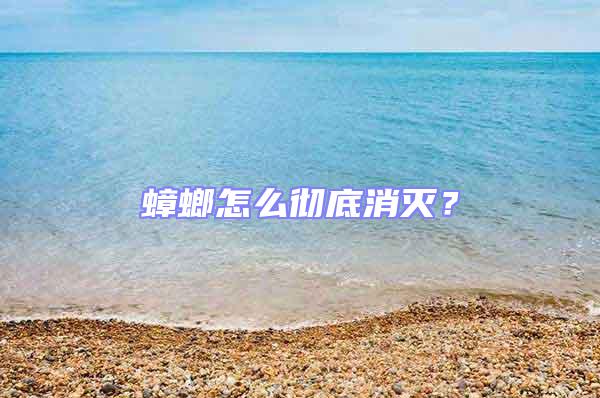 蟑螂怎么徹底消滅？