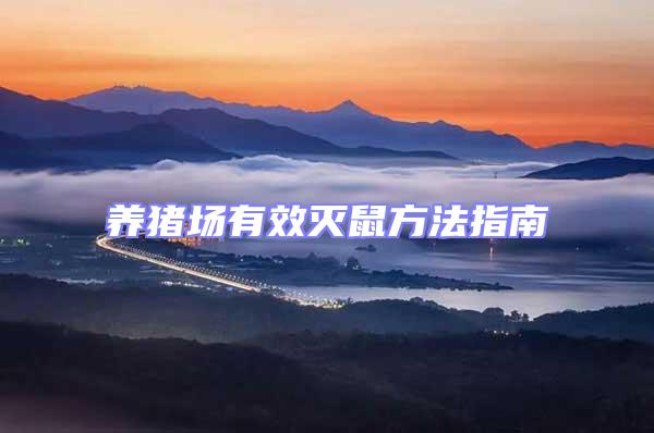 養豬場有效滅鼠方法指南