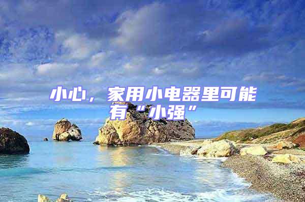 小心，家用小電器里可能有“小強”