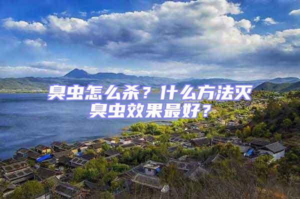 臭蟲怎么殺？什么方法滅臭蟲效果最好？