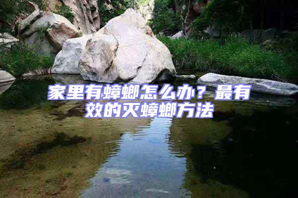 家里有蟑螂怎么辦？最有效的滅蟑螂方法