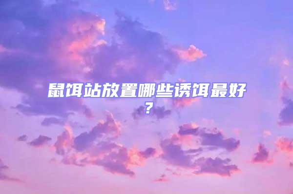 鼠餌站放置哪些誘餌最好？