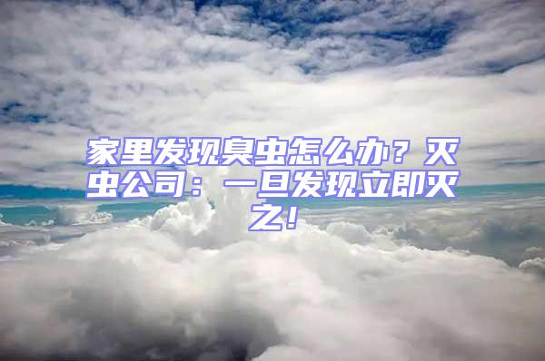 家里發(fā)現(xiàn)臭蟲(chóng)怎么辦？滅蟲(chóng)公司：一旦發(fā)現(xiàn)立即滅之！